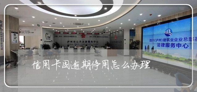 信用卡因逾期停用怎么办理/2023121859382