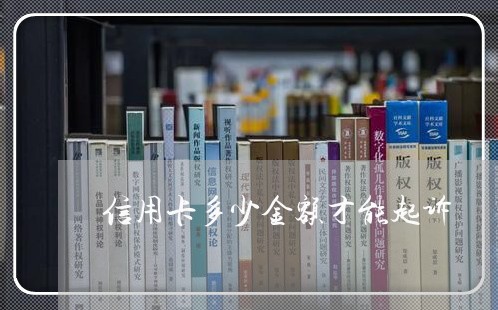 信用卡多少金额才能起诉/2023120461693