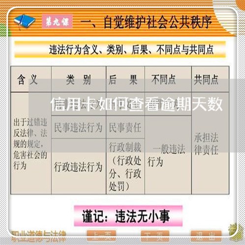 信用卡如何查看逾期天数/2023112424926