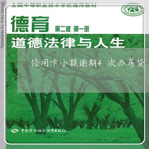 信用卡小额逾期4次办房贷/2023121863825