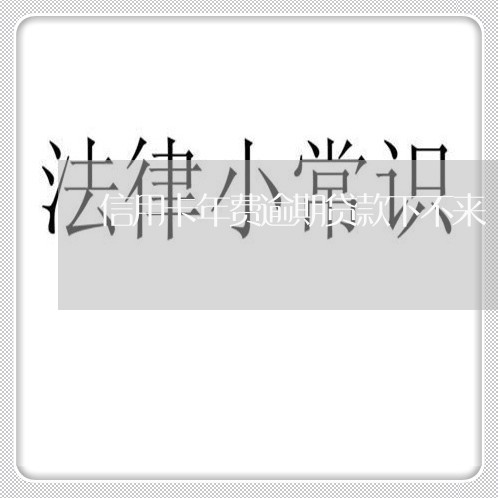 信用卡年费逾期贷款下不来/2023121759482