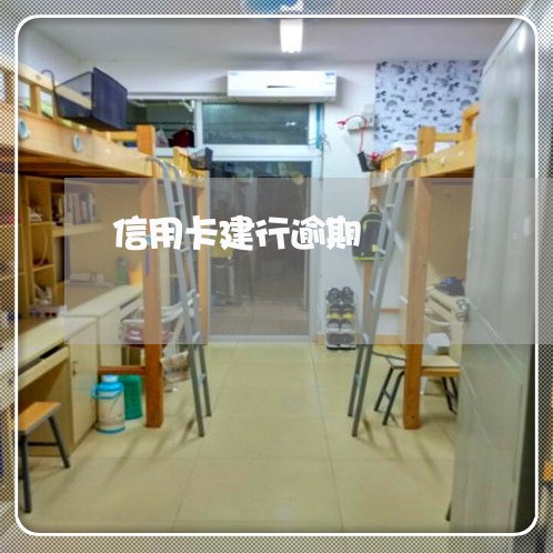 信用卡建行逾期/2023111793838