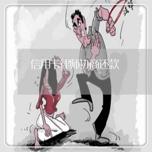 信用卡律师协商还款/2023111847359