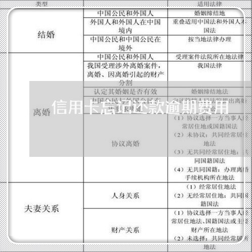 信用卡忘记还款逾期费用/2023052642502