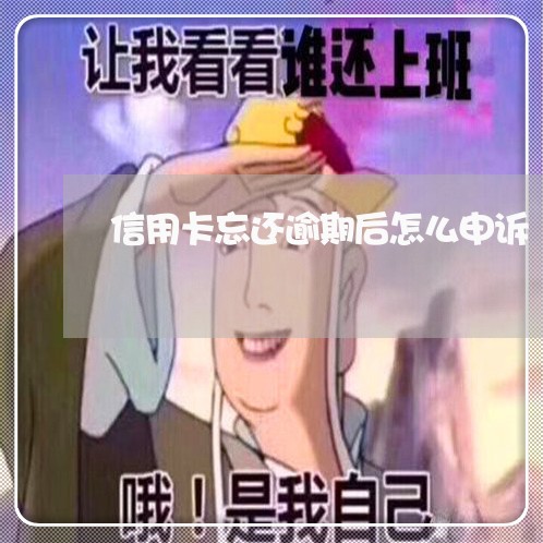 信用卡忘还逾期后怎么申诉/2023111867694