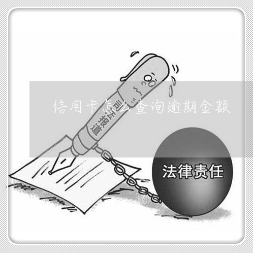 信用卡怎么查询逾期金额/2023052698503