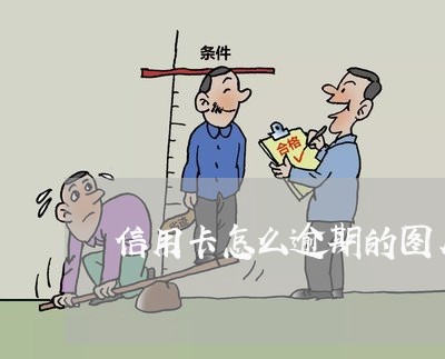 信用卡怎么逾期的图片截图/2023080196837