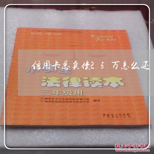 信用卡总负债25万怎么还/2023102846370