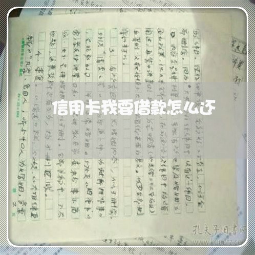 信用卡我要借款怎么还/2023090663636