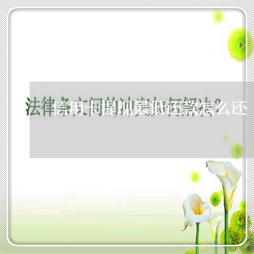 信用卡提现最低还款怎么还/2023080206937