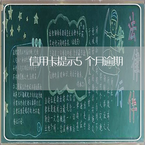 信用卡提示5个月逾期/2023121902835