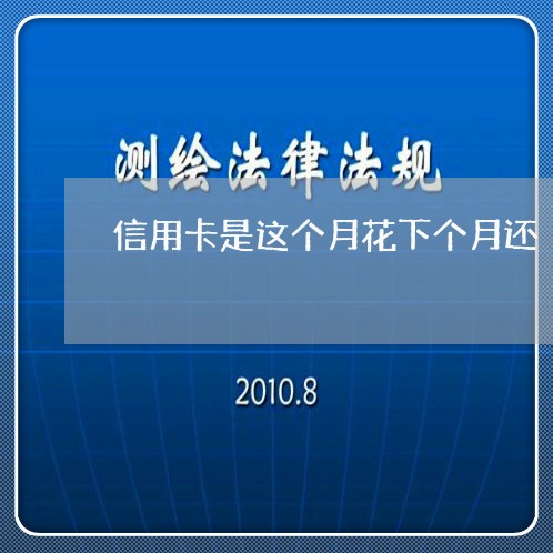 信用卡是这个月花下个月还/2023081339183