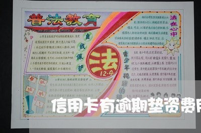 信用卡有逾期垫资费用多少/2023121527169