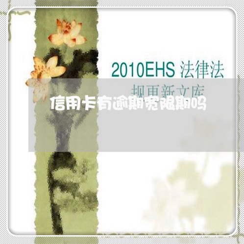 信用卡有逾期宽限期吗/2023121897036