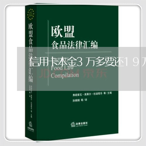 信用卡本金3万多要还19万/2023081441483