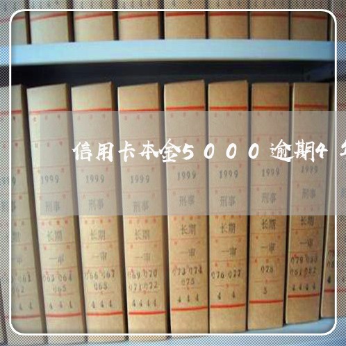 信用卡本金5000逾期4年了/2023052194158