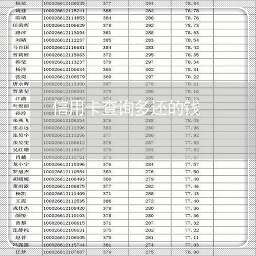 信用卡查询多还的钱/2023120533947