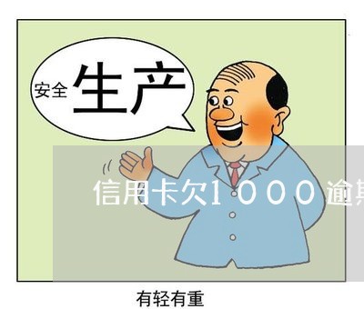 信用卡欠1000逾期半年/2023061680272