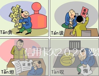 信用卡欠2020要怎么还/2023120522926