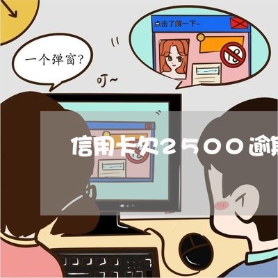 信用卡欠2500逾期了/2023112705926