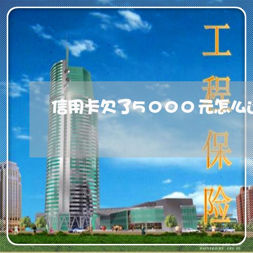 信用卡欠了5000元怎么还/2023080297025