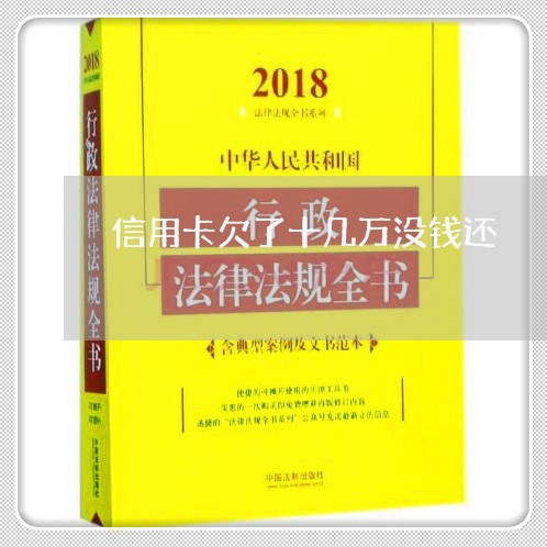 信用卡欠了十几万没钱还/2023081340395