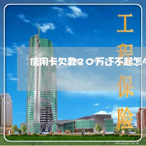 信用卡欠款20万还不起怎么办/2023061735268