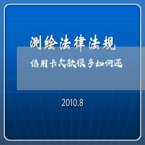 信用卡欠款很多如何还/2023082635046