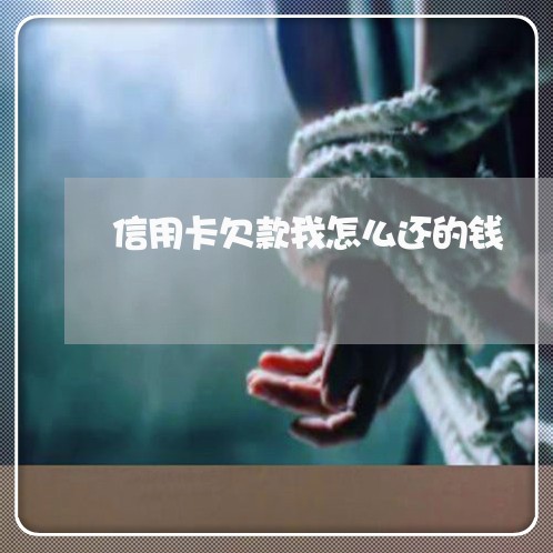 信用卡欠款我怎么还的钱/2023102561603