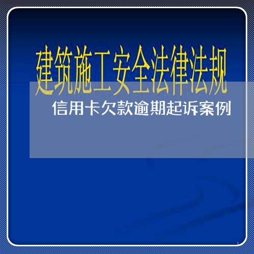 信用卡欠款逾期起诉案例/2023111549392