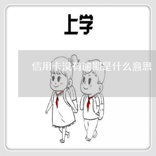 信用卡没有逾期是什么意思/2023061433615