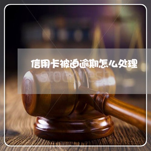 信用卡被迫逾期怎么处理/2023112851814