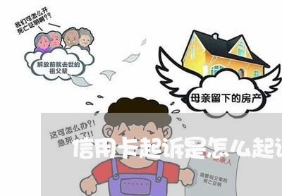 信用卡起诉是怎么起诉的/2023112386157