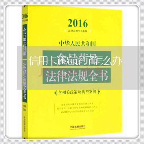 信用卡还忘记了怎么办/2023102751582