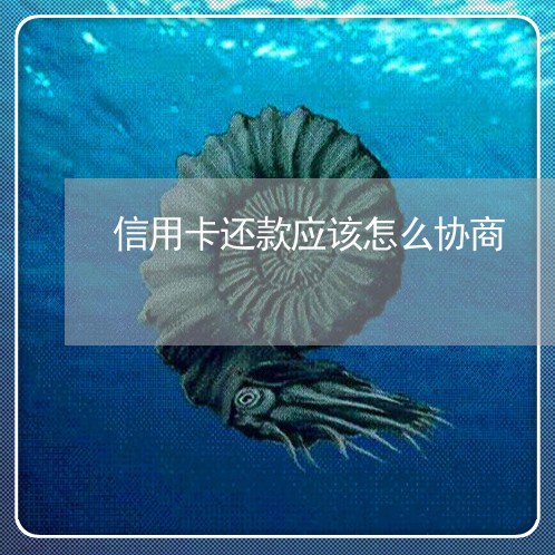 信用卡还款应该怎么协商/2023112350481