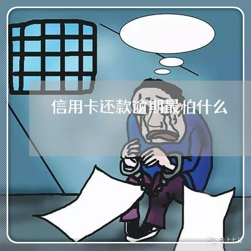 信用卡还款逾期最怕什么/2023061389361