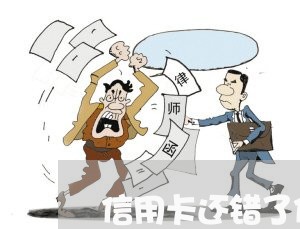 信用卡还错了信用卡怎么办/2023112495705