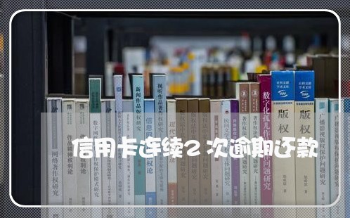 信用卡连续2次逾期还款/2023120659171