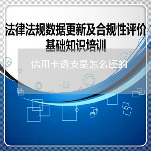 信用卡透支是怎么还的/2023120510523