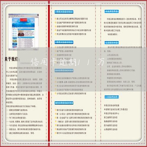 信用卡逾期11万/2023062937270