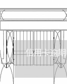 信用卡逾期13期/2023062979459