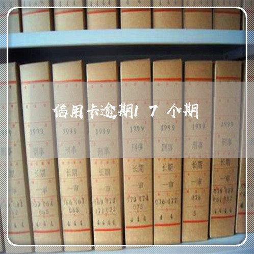 信用卡逾期17个期/2023112582805