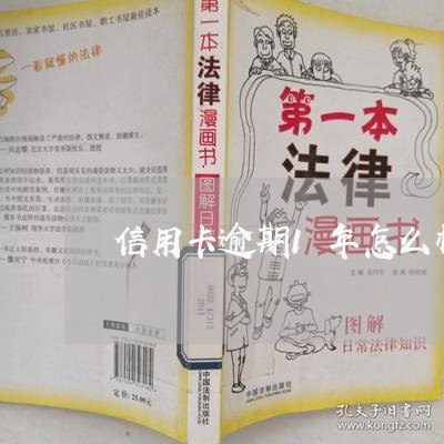 信用卡逾期1年怎么样还/2023071414915