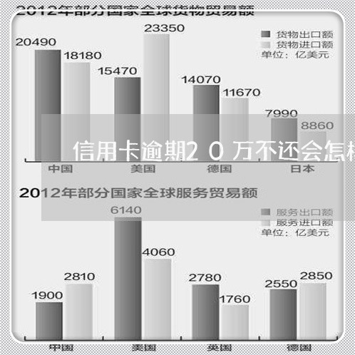 信用卡逾期20万不还会怎样/2023121730581