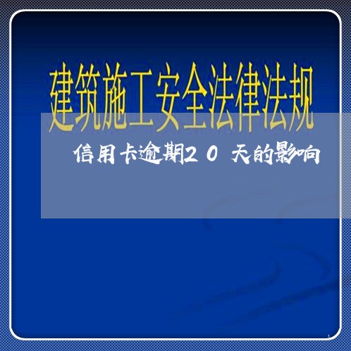 信用卡逾期20天的影响/2023100894018