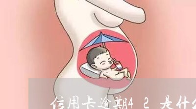 信用卡逾期42是什么意思/2023121655949