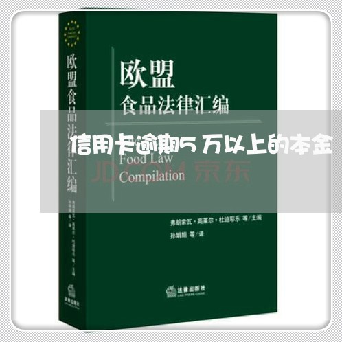 信用卡逾期5万以上的本金/2023050208483