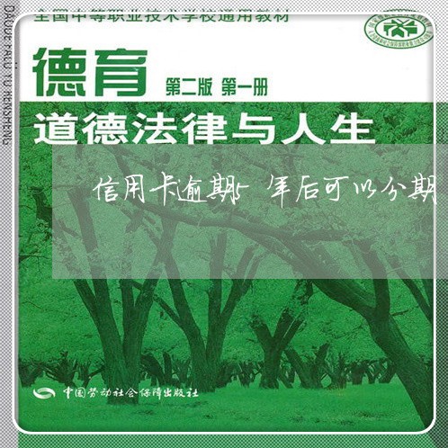 信用卡逾期5年后可以分期/2023060617371