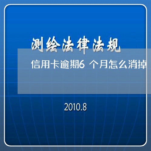 信用卡逾期6个月怎么消掉/2023051269603