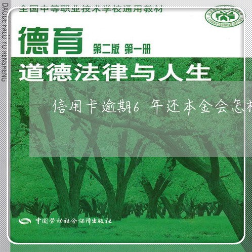 信用卡逾期6年还本金会怎样处理/2023091447383